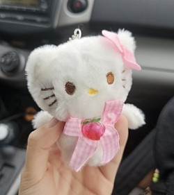 hellokittybought